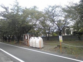 築地新居さくら公園